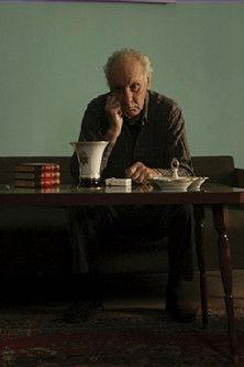 Liberation in 26 Pictures film afişi