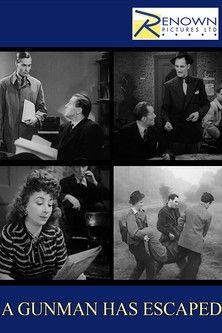 A Gunman Has Escaped film afişi