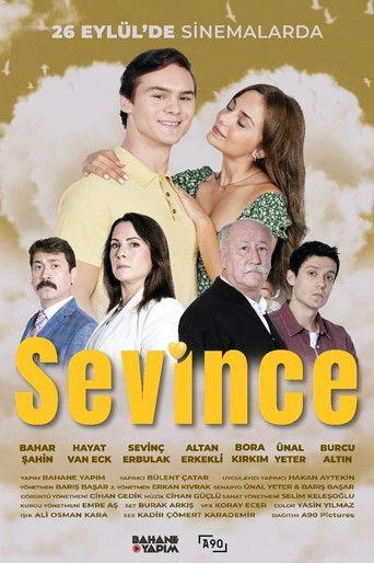 Sevince film afişi
