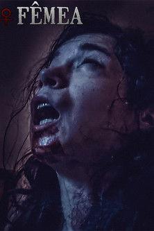 A Fêmea film afişi