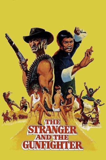 The Stranger and the Gunfighter film afişi