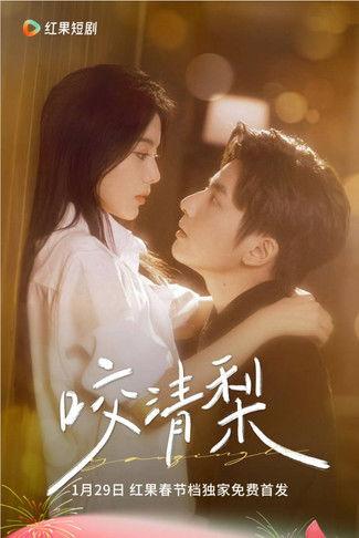 Addict To You dizi afişi