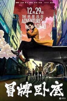 The Adventures of Wei BaoBao film afişi