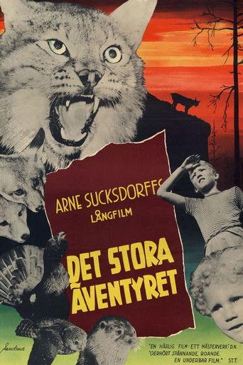 The Great Adventure film afişi