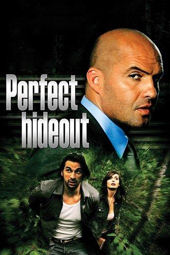 Perfect Hideout film afişi
