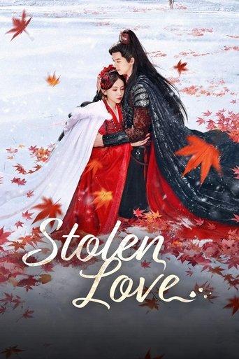 Stolen Love dizi afişi