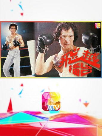 The Boxer dizi afişi