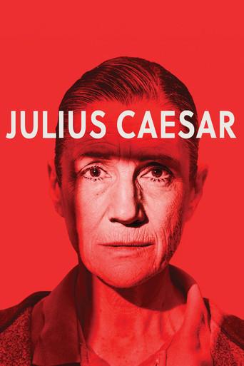 Julius Caesar film afişi