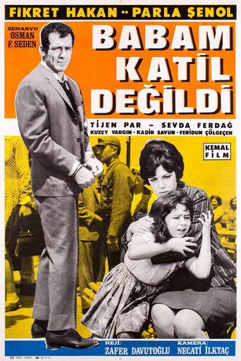 Babam Katil Değildi film afişi