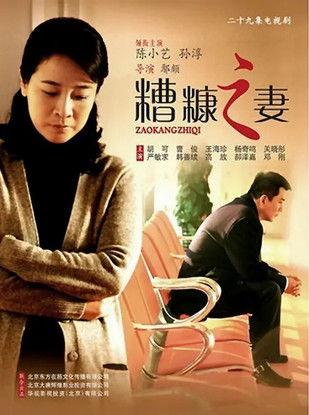 我的糟糠之妻 dizi afişi