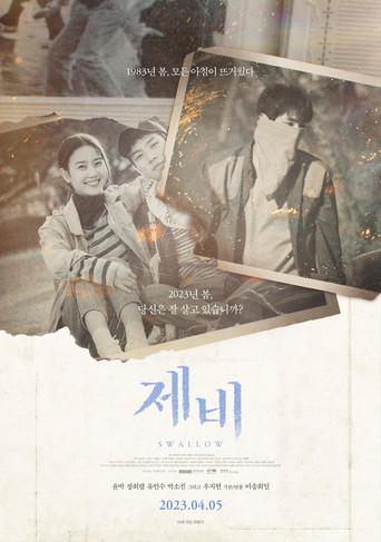 Swallow film afişi