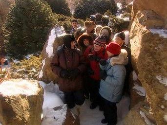 le lancement de la revue - l'ornithologie - les élections