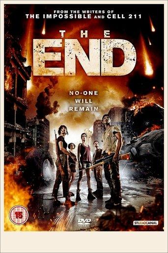 The End film afişi