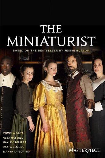 The Miniaturist film afişi