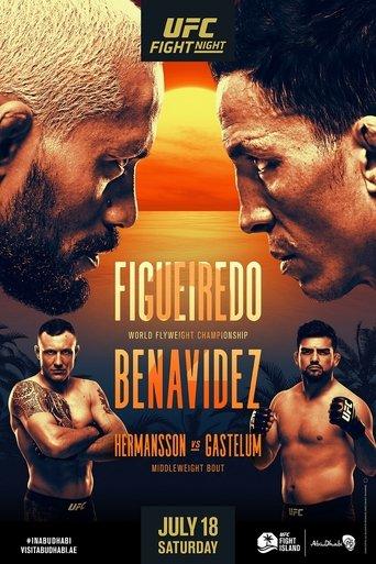 UFC Fight Night 172: Figueiredo vs. Benavidez 2 film afişi