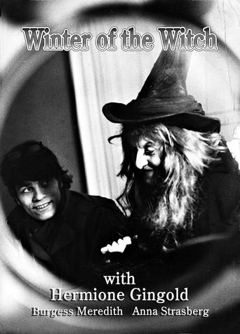 Winter of the Witch film afişi