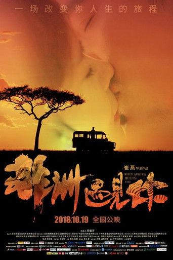 When Africa Meets You film afişi