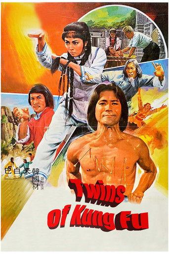 Twins of Kung Fu film afişi