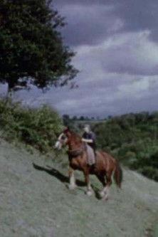 West of England film afişi