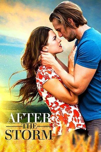 After the Storm film afişi