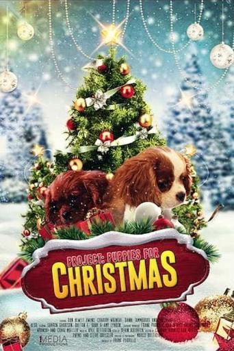 Project: Puppies for Christmas film afişi