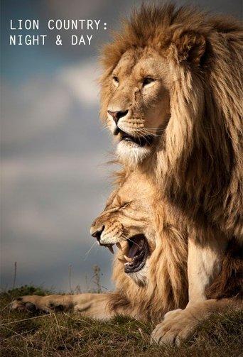 Lion Country: Night and Day dizi afişi