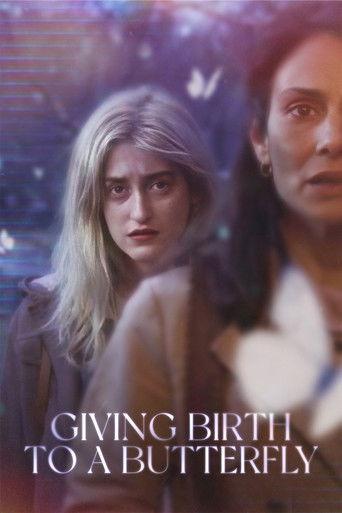 Giving Birth to a Butterfly film afişi