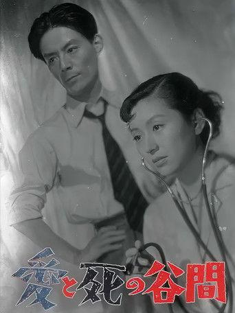 The Valley Between Love and Death film afişi