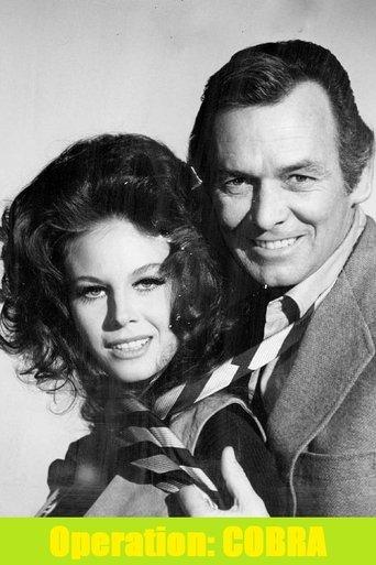 O'Hara, United States Treasury: Operation Cobra film afişi