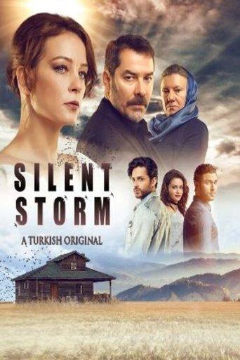 Swallow Storm dizi afişi