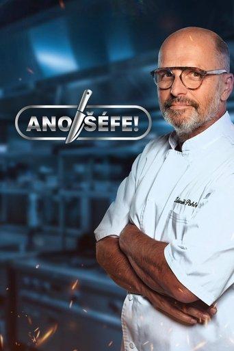 Yes, Boss! dizi afişi