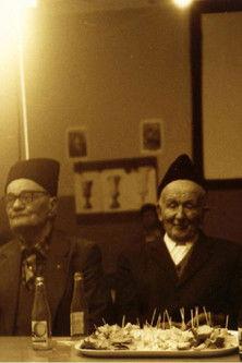 The Illness and Recovery of Buda Brakus film afişi