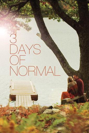 3 Days of Normal film afişi