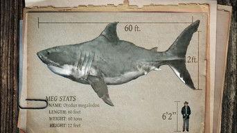 Expedition Unknown: Megalodon