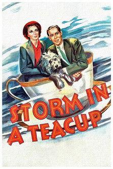 Storm in a Teacup film afişi