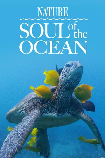 Soul of the Ocean film afişi