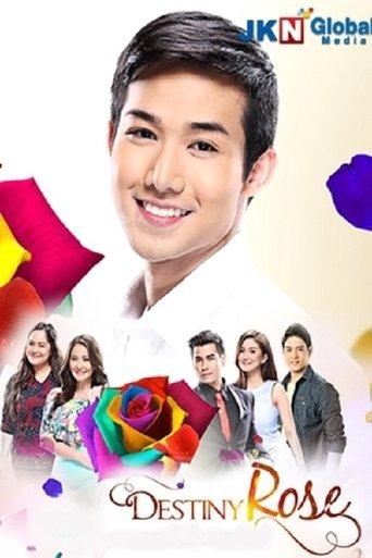 Destiny Rose dizi afişi