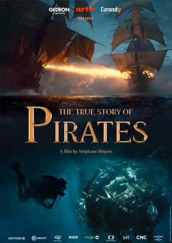 The True Story of Pirates film afişi