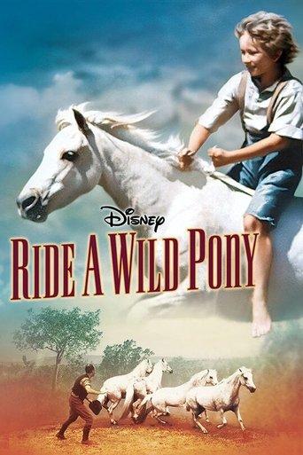 Ride a Wild Pony film afişi