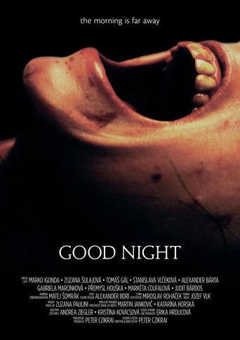 Good Night film afişi