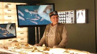 The Blood from the Stones