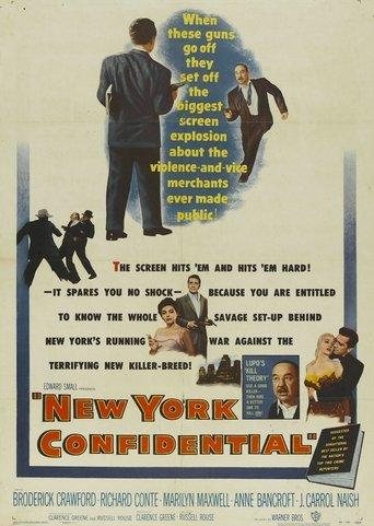 New York Confidential film afişi