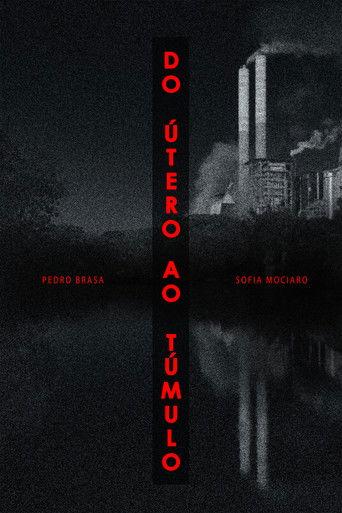 Do Útero Ao Túmulo film afişi