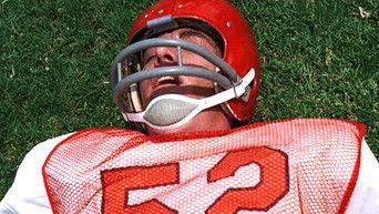 A Place to Run, A Heart to Hide In