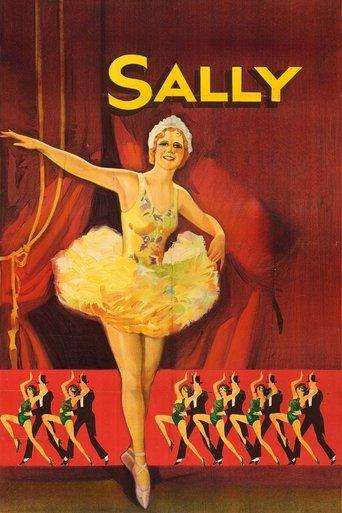 Sally film afişi