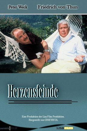 Herzensfeinde film afişi