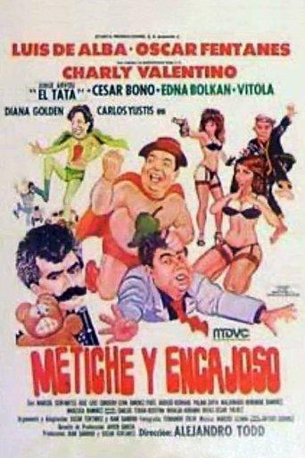 Metiche y encajoso film afişi