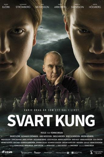 Black King film afişi