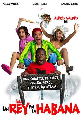 A King in Havana film afişi