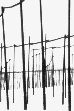 Der weiße Hopfengarten film afişi